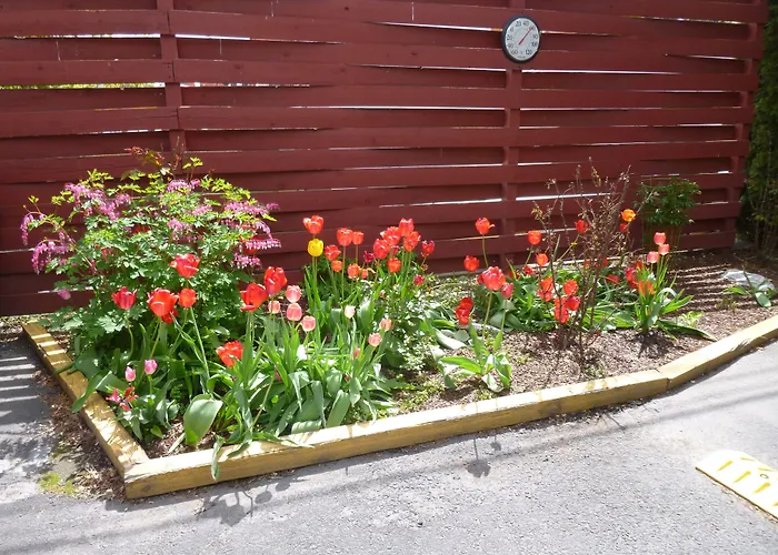 Motel: Cougar Land Motel