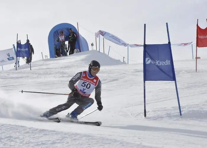  Olimpic