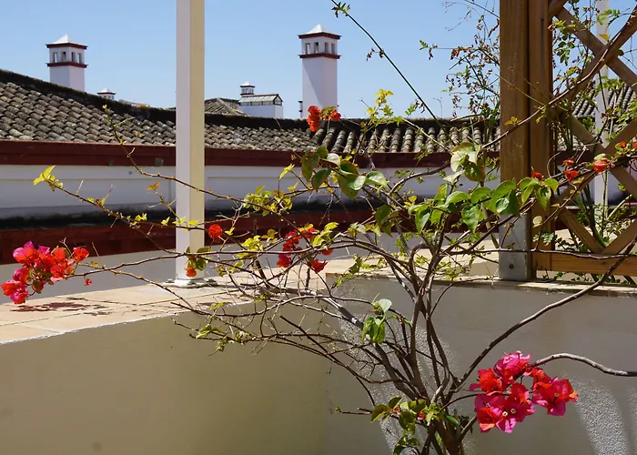 Black Swan Hostel Sevilla