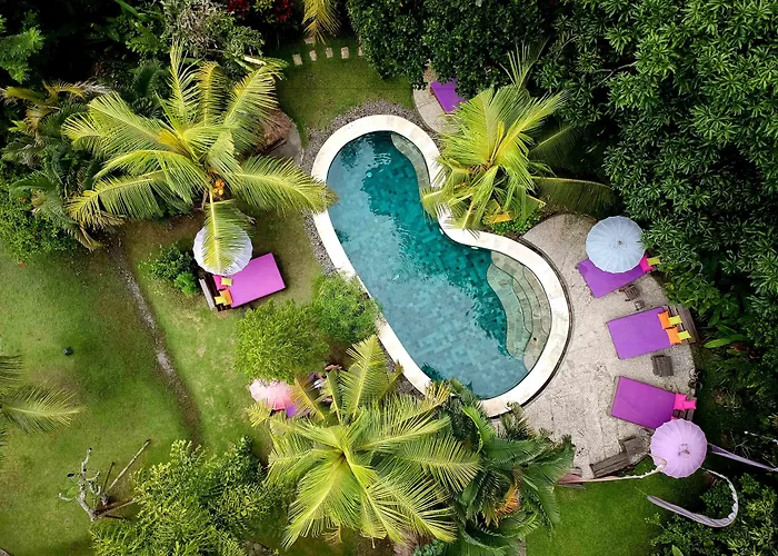 Ping Pong hotel: Swasti Eco Cottages