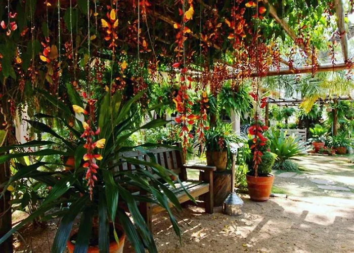 Hotel com piscina: Hotel Mantovani