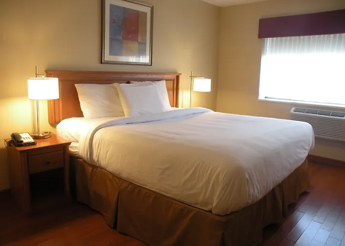 Family Hotel: Hotel Newstar Montreal