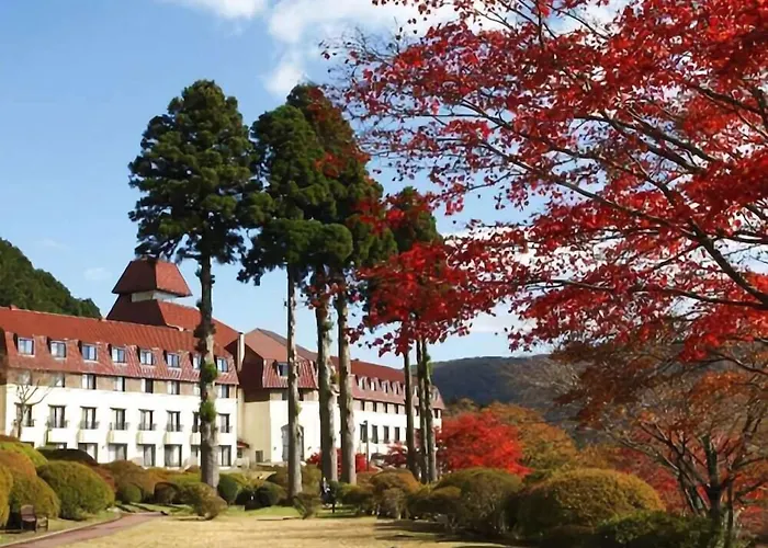 Luxury hotel only: Odakyu Hotel De Yama