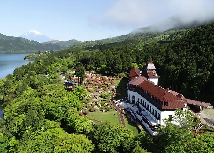 Luxury hotel only: Odakyu Hotel De Yama