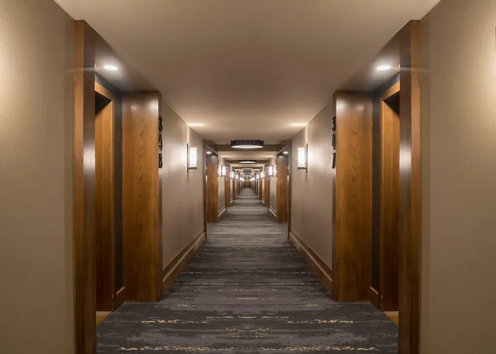 Central hotel: The Malcolm Hotel