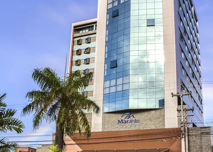Marante Executive