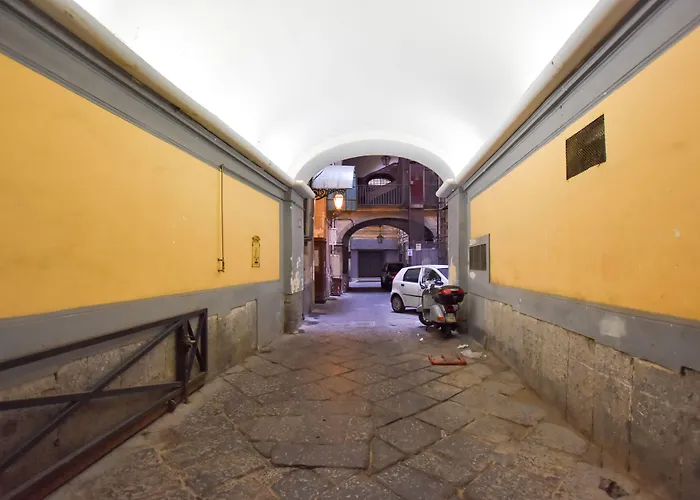 Domus Borbonica