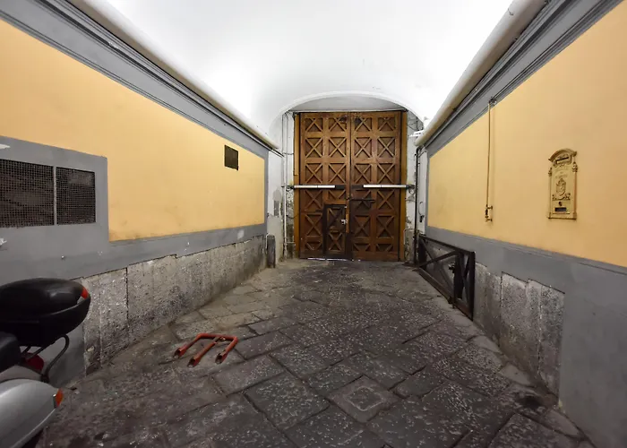 Domus Borbonica