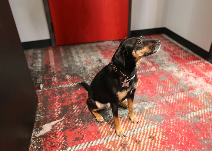 Family Hotel: Bobby Hotel