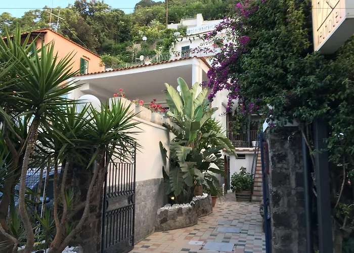 Hotel familiare: Black Market Hotel