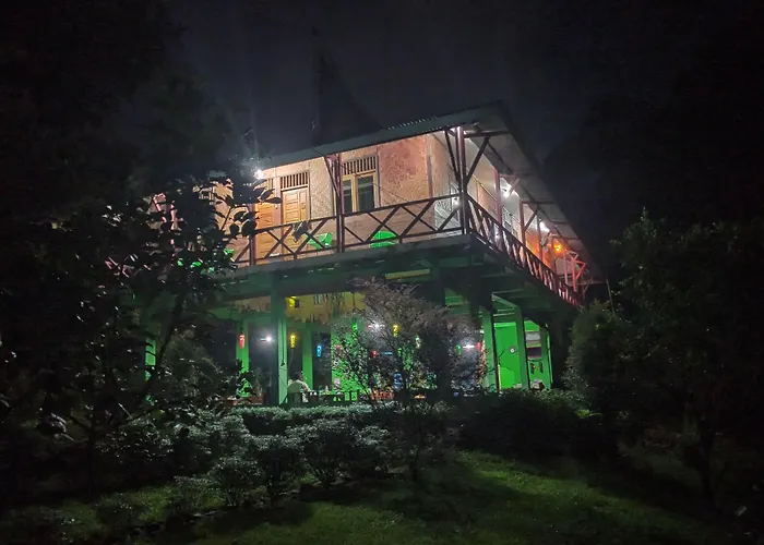 Green Forest Tangkahan