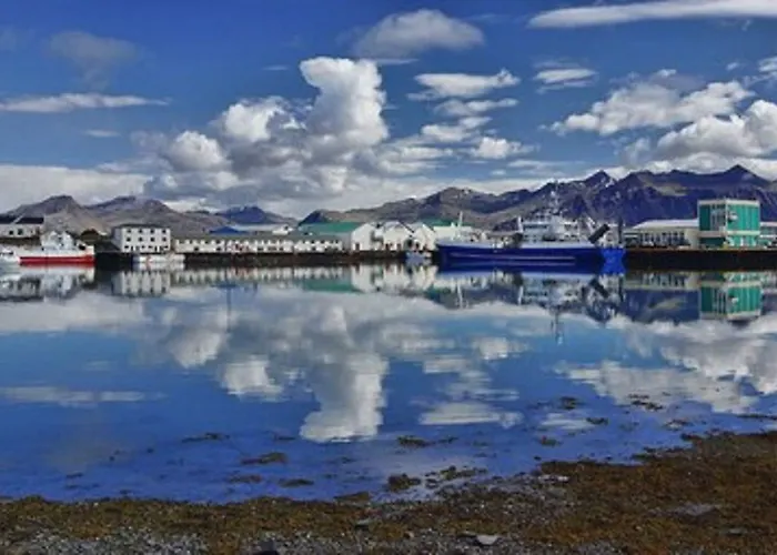 Hotel: Apotek Guesthouse