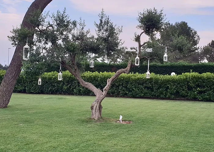 Hotel con vista: Villa Natia