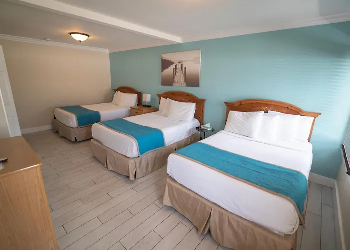 Beach Hotels Seashell Motel