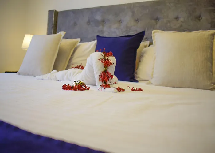 Hotel Checkin El Cortecito Beach