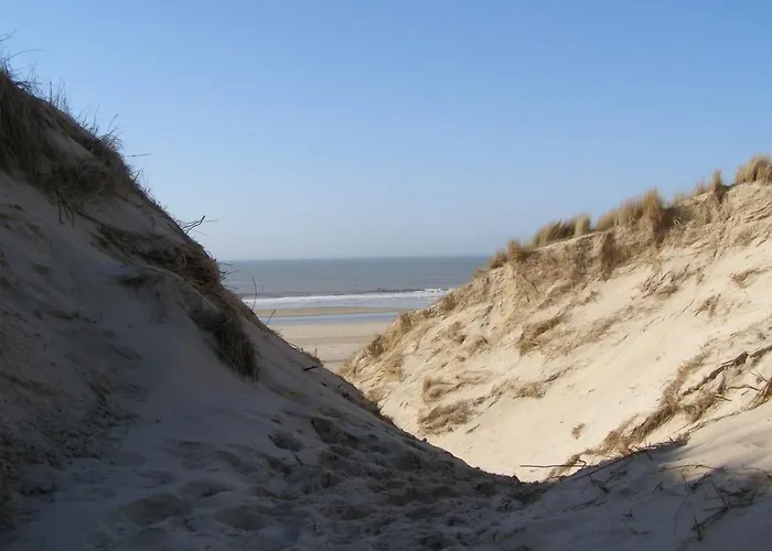 5 sterren hotel: Europarcs Koningshof