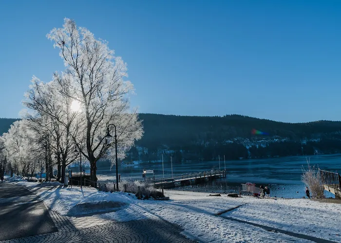 Boetiek hotel: Hotel Bären Titisee