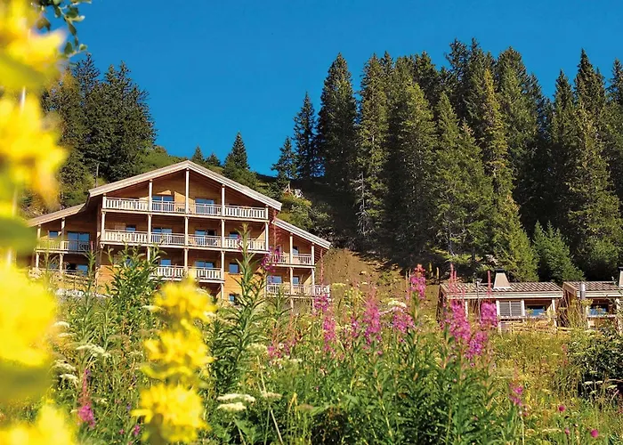 4 sterren hotel: Dormio Resort Les Portes Du Grand Massif