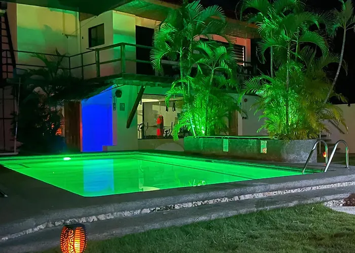 In Luxury hotels Parrot Moalboal