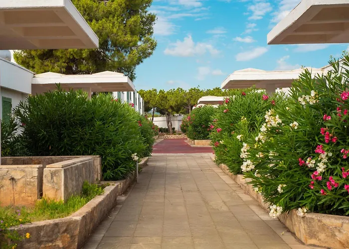 Porto Giardino - CDSs