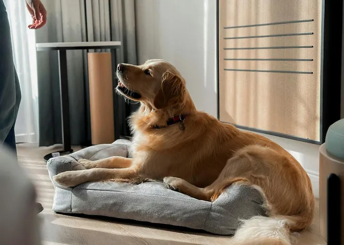 Marriott Long Beach Downtown