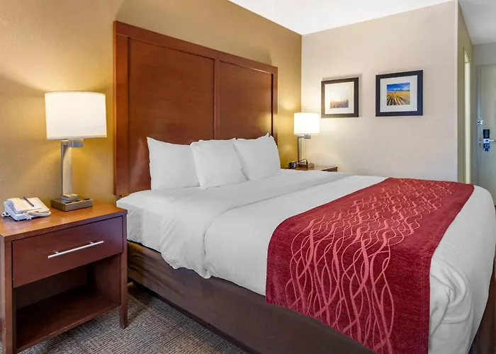Family Hotel: Comfort Inn Great Falls South