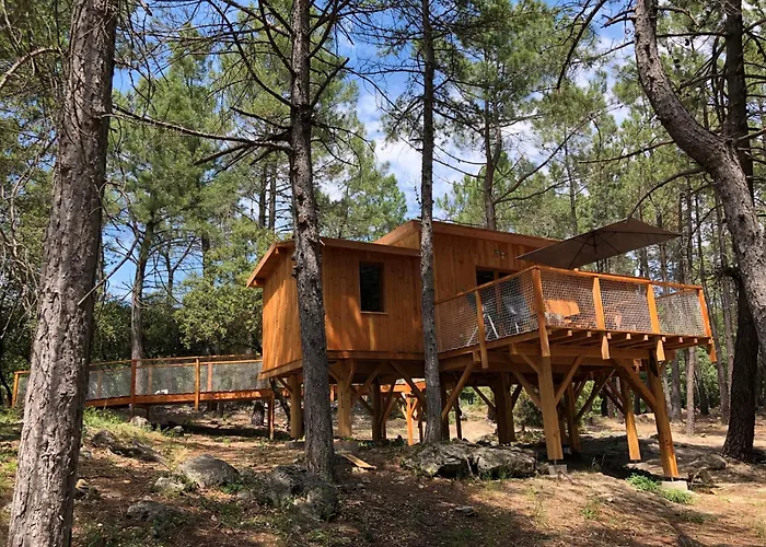 Camping la Simioune en Provence
