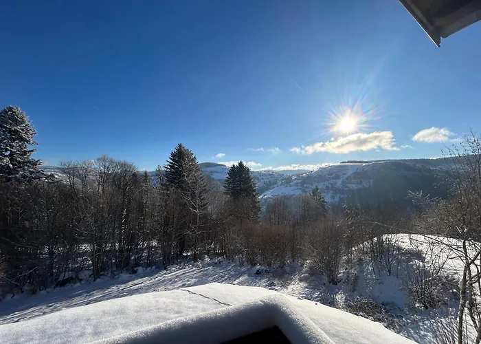 Chalet Les Bouleaux, la montagne des lamas