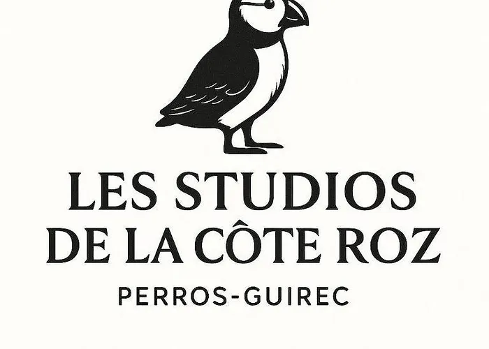 Les Studios De La Côte Roz - Voyageur Solo - Vue