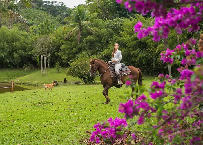 Guest House Fazenda do Francês&Culinária Francesa