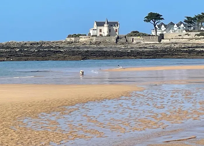 Constance De Bretagne
