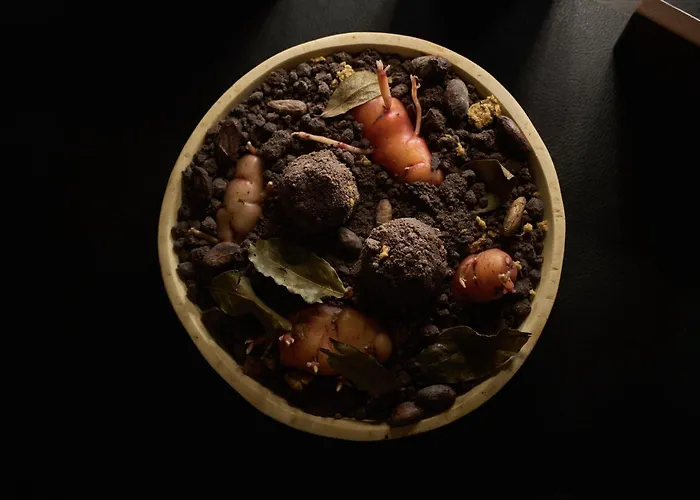 Rothaus & Peruvian Culinary Art