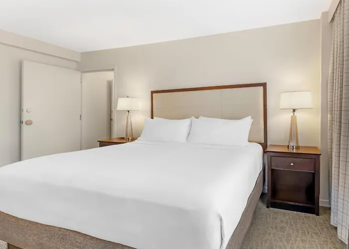 Cheap hotel: Sonesta Atlanta Airport North