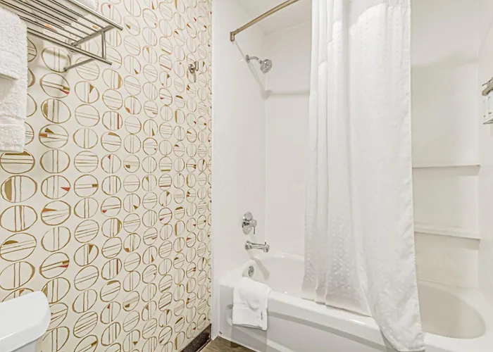 3 star hotel: Holiday Inn Spartanburg Northwest