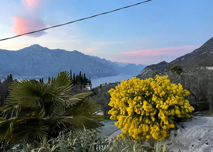 B&B: Guesthouse Grand View