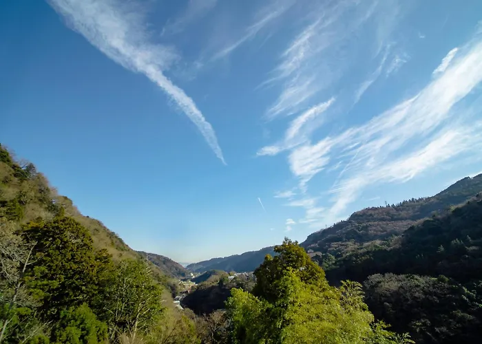 nomori Okada