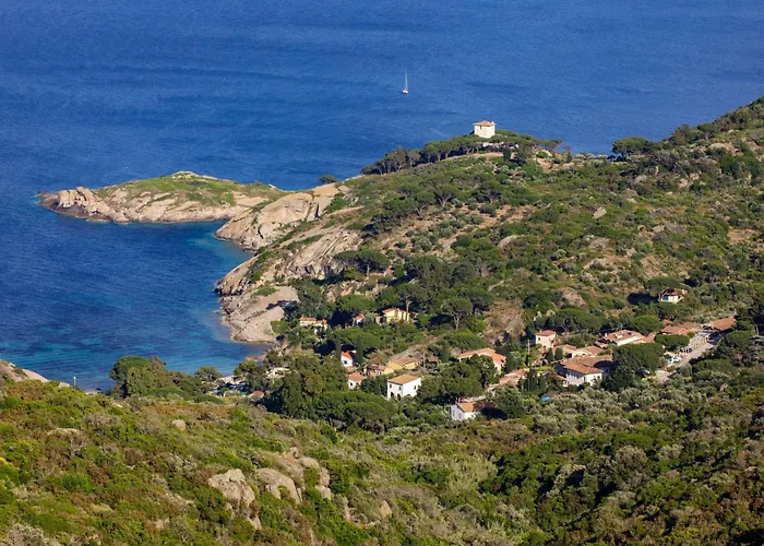 Arenella