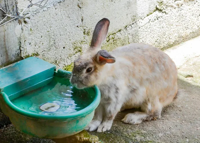 Hotel para famílias: Hotel Fazenda Portal dos Sonhos