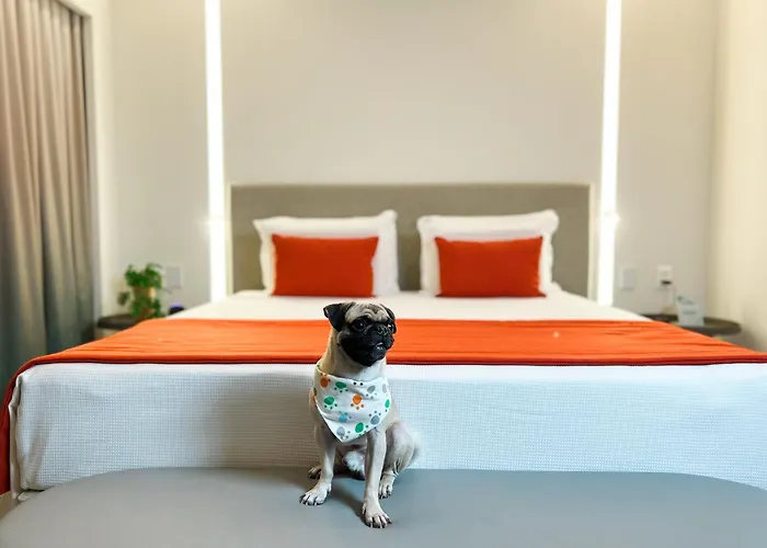 Hotel para famílias: Japaratinga Lounge Resort