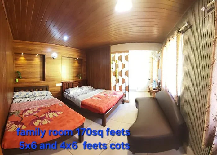 Luxury hotel only: Greenview Holiday Inn