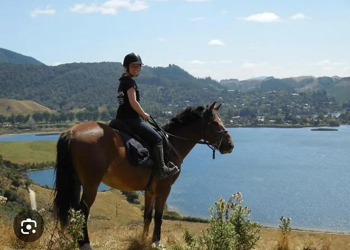 Skyline Skyrides Premium Property, See Host Info For Pets