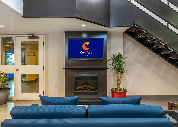 Luxury hotel only: Comfort Inn Airport