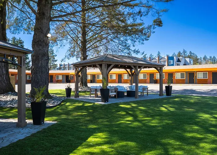 Motel: The Tide'S Out
