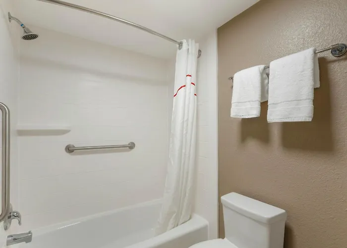 Motel: Red Roof Inn Tampa Bay - St. Petersburg