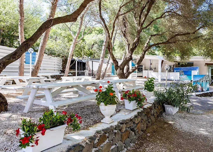 Camping Car Palmasera