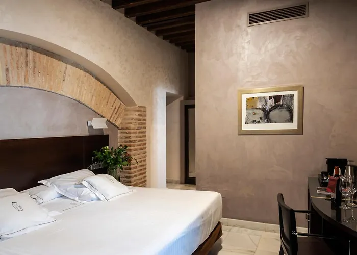 Hot Tub in Room Pintor El Greco