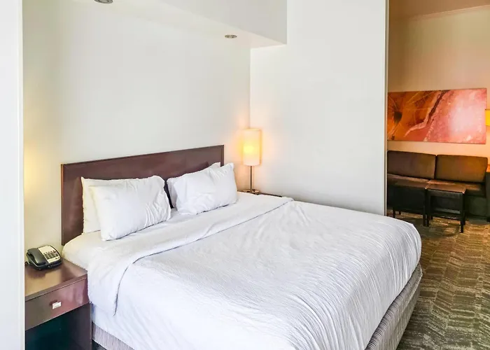 Hotel suites Springhill Suites By Marriott Ardmore