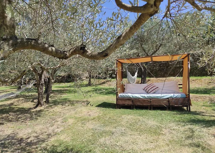 La Casa Tra Gli Ulivi