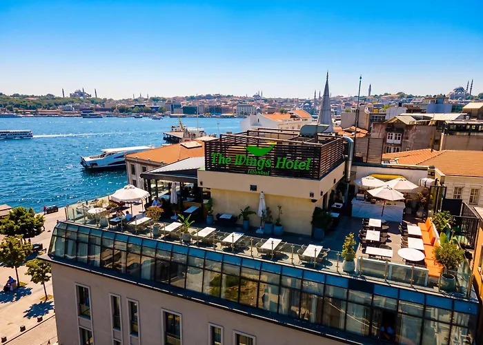Wings s Karakoy