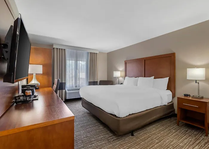 Family resorts Comfort Inn & Suites Brunswick I-95